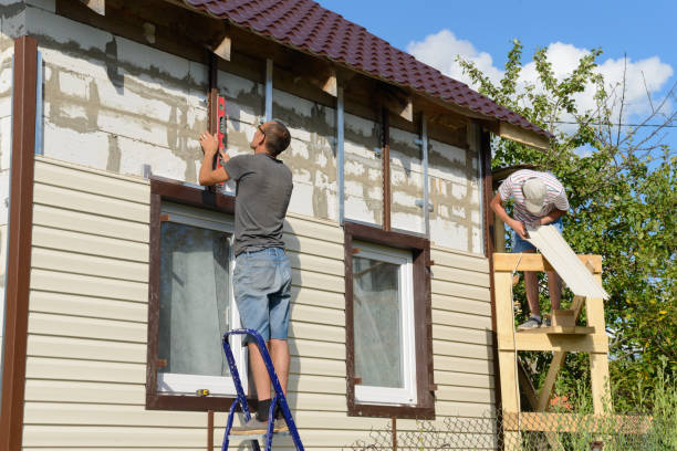 Best Stone Veneer Siding  in Bisbee, AZ