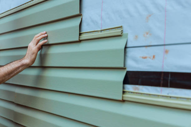 Best Steel Siding Installation  in Bisbee, AZ
